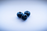 探究蓝莓的性质是热还是凉